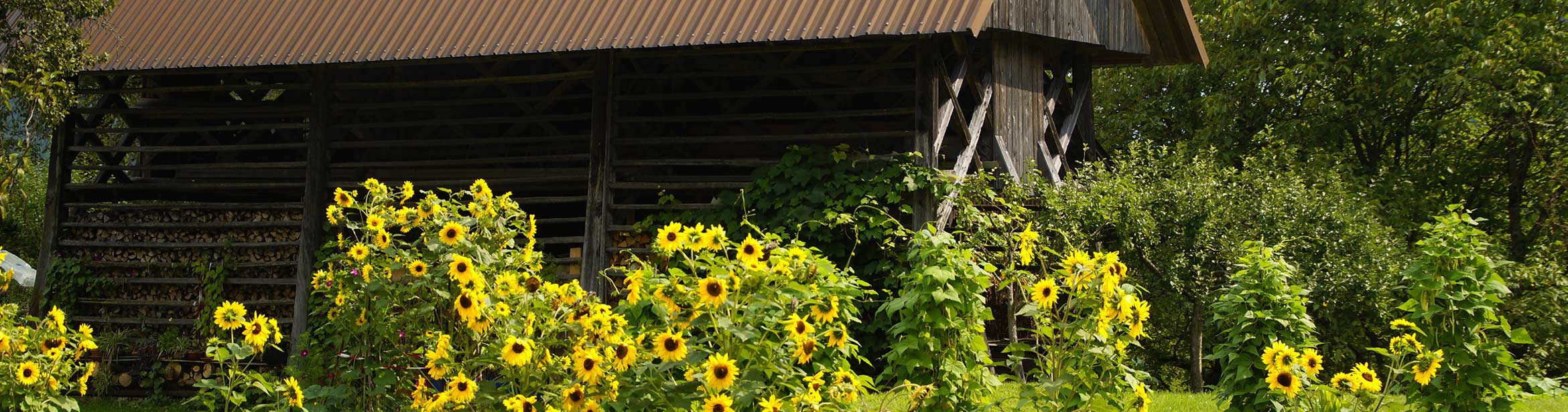 Moist Garden Freeze Drying